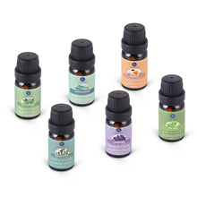 Load image into Gallery viewer, Essential Oils 10ml 6pcs Gift Set
