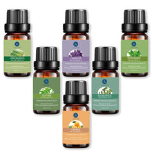 Load image into Gallery viewer, Essential Oils 10ml 6pcs Gift Set
